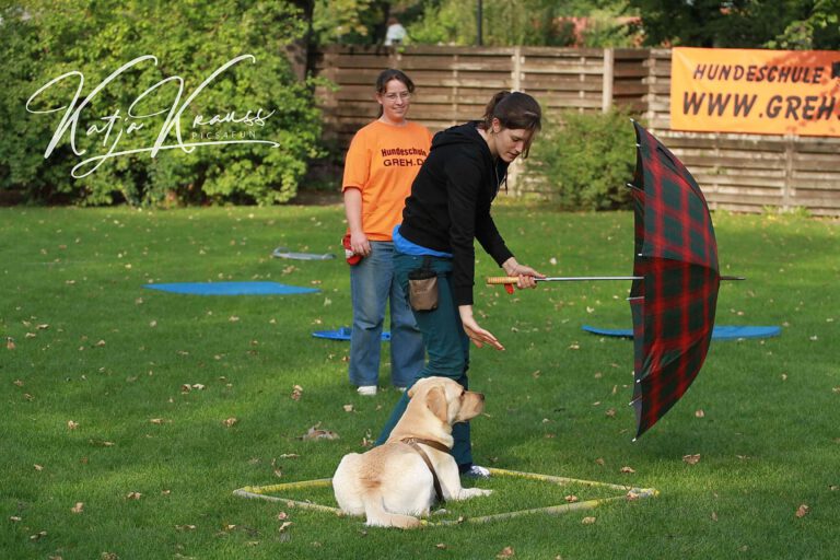Mobility und vieles mehr (MS) - Hundeschule GREH Hundeschule-GREH-10Mobum_0E6A0006