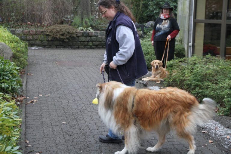 Verkehrserziehungskurs (VK) - Hundeschule GREH Hundeschule-GREH-12Verk_IMG_0002