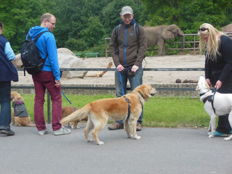 Hundeschule-GREH-15Tier_BIT 2016_06