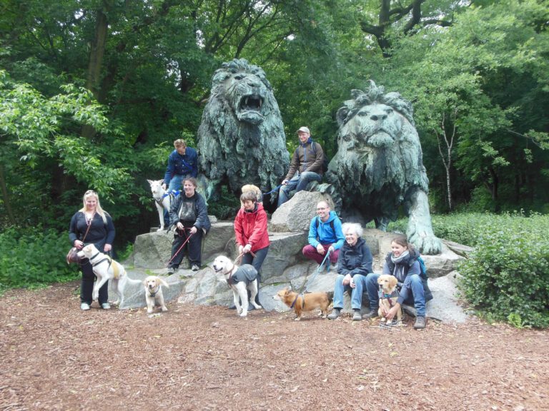 Hundeschule-GREH-15Tier_BIT 2016_08