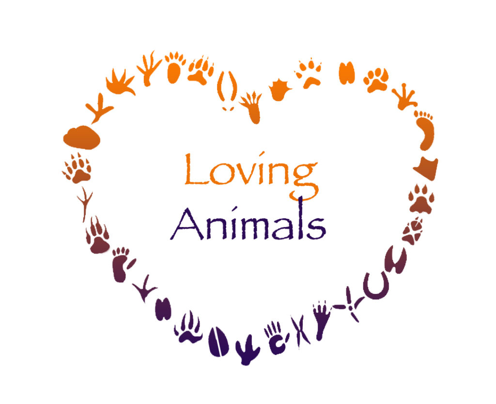 "Loving Animals" beim GFK Online Festival - Hundeschule GREH