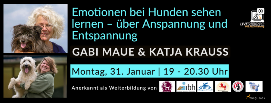 Emotionen bei Hunden sehen lernen - Hundeschule GREH