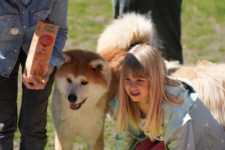 Hundeschule-GREH-50Natur__DSC01251