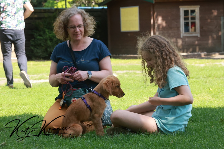 Fotogalerien - Hundeschule GREH