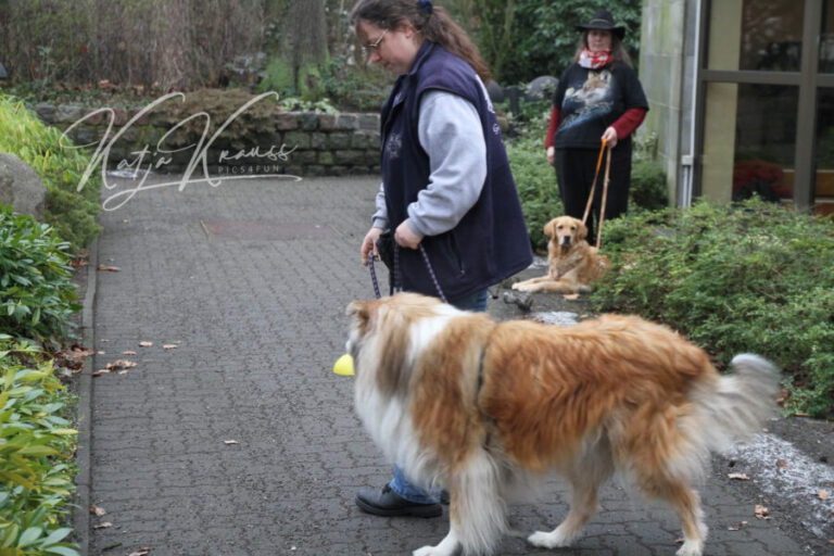 Hundeschule-GREH-12Verk_IMG_0002