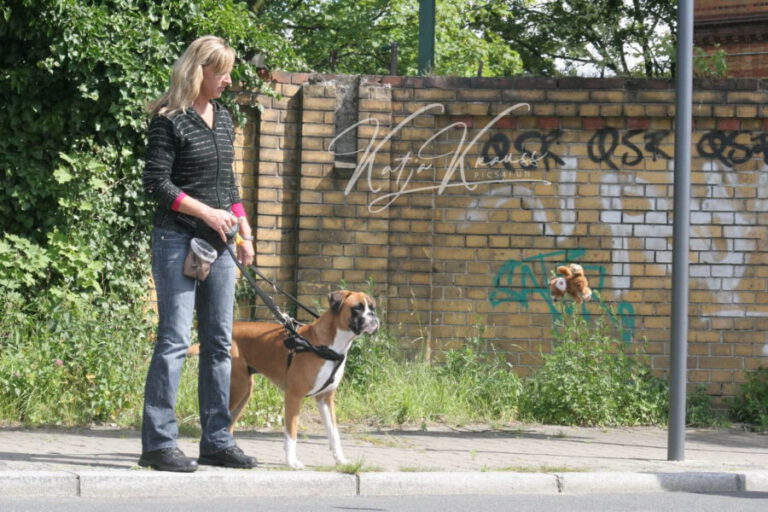 Hundeschule-GREH-12Verk_IMG_0004