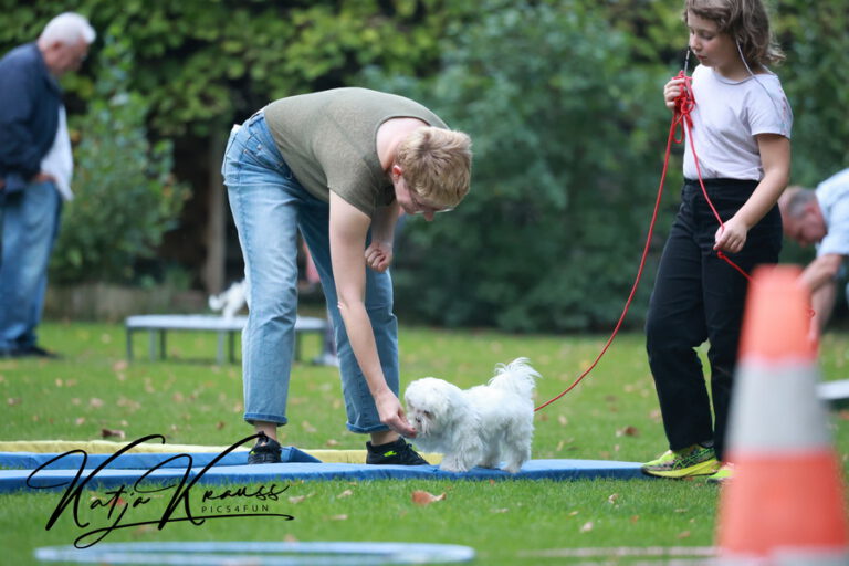 Hundeschule-GREH-4WelpM_2O4A7506