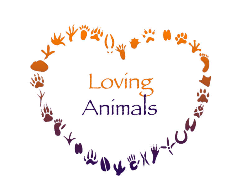 logo_lovinganimals_gradient