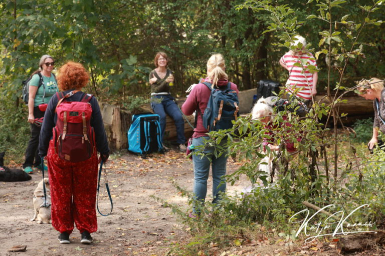 Tellington TTouch® meets Waldbaden - Hundeschule GREH 2O4A8096